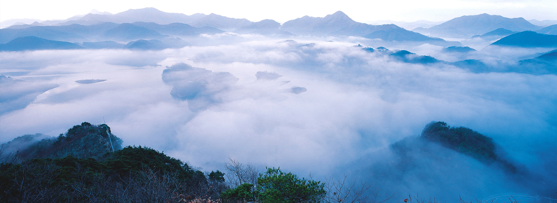 ̫������tyc4633