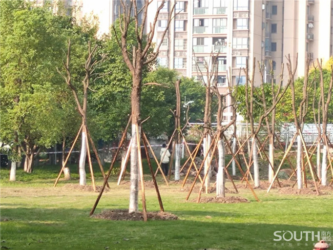 ̫������tyc4633