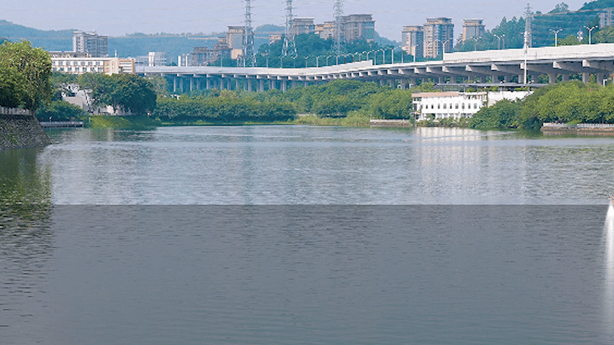 ̫������tyc4633