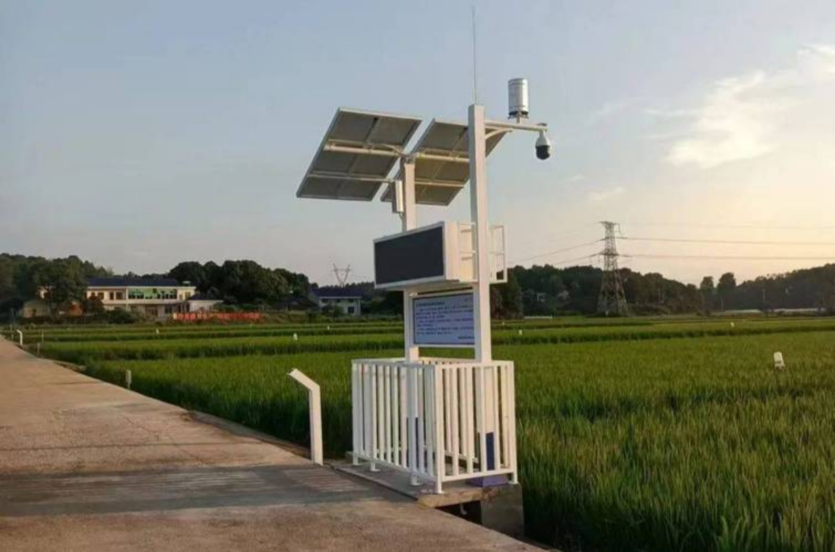 ̫������tyc4633