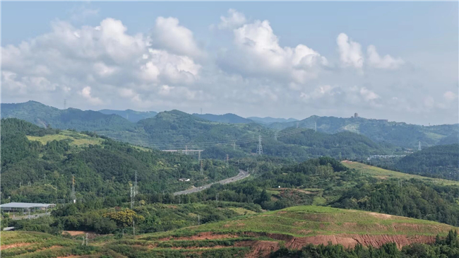 ̫������tyc4633