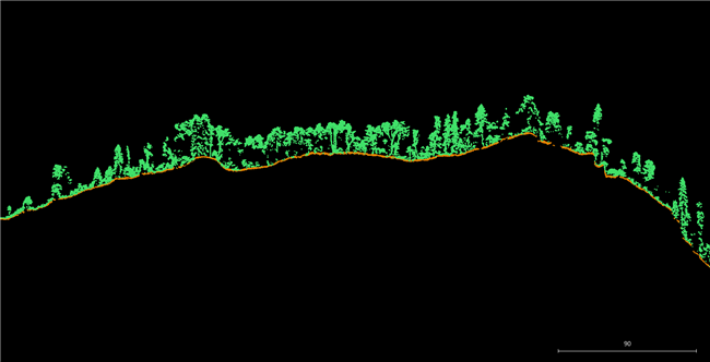 ̫������tyc4633