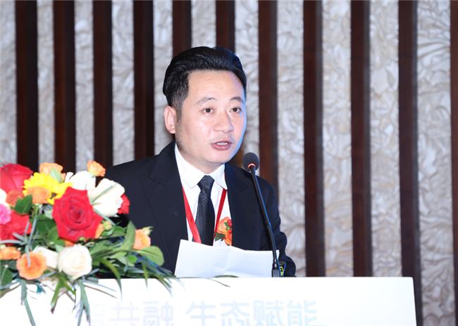 ̫������tyc4633