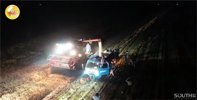 ̫������tyc4633