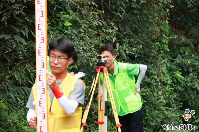 ̫������tyc4633