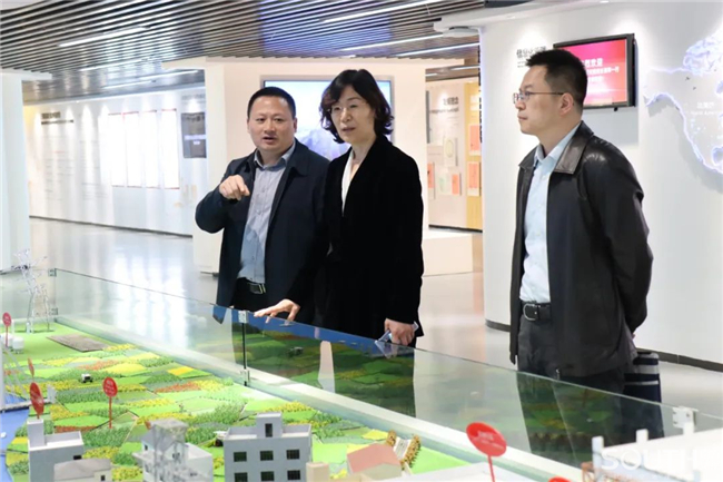 ̫������tyc4633