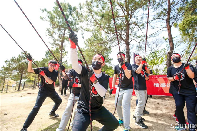 ̫������tyc4633