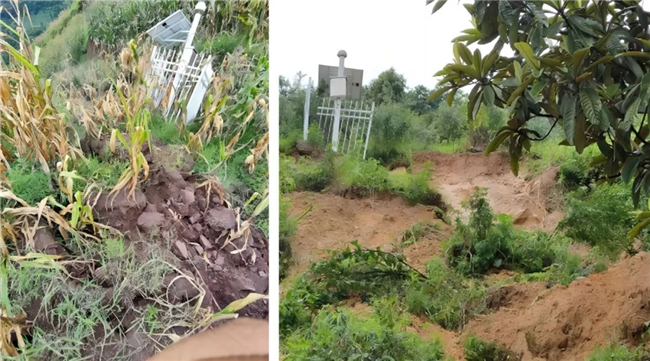 ̫������tyc4633