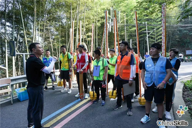 ̫������tyc4633