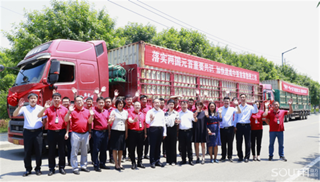 ̫������tyc4633