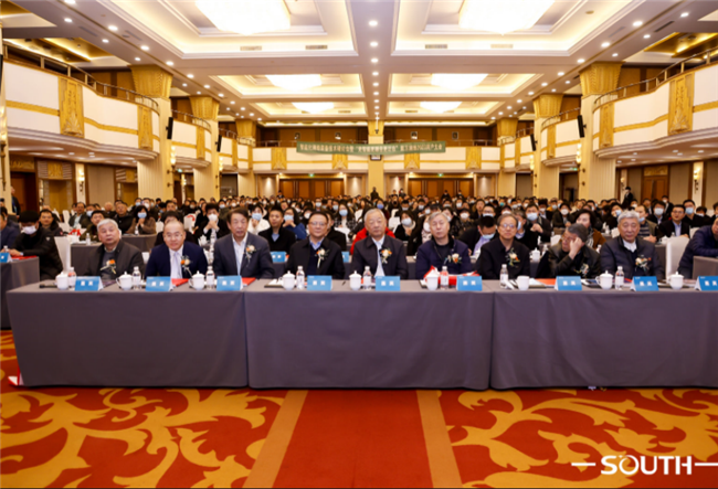 ̫������tyc4633