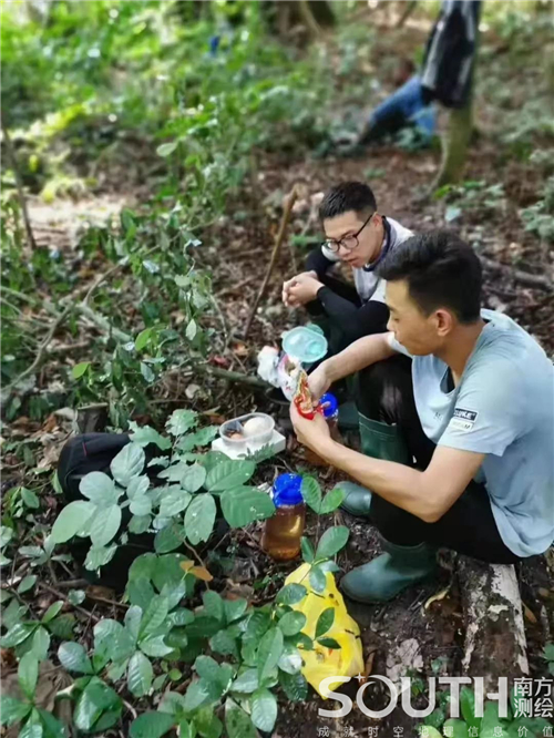 Ì«Ñô¼¯ÍÅtyc4633