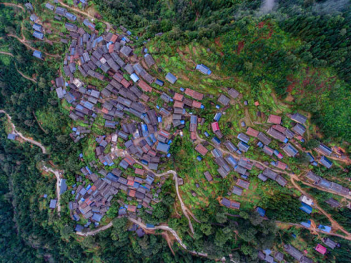 ̫������tyc4633