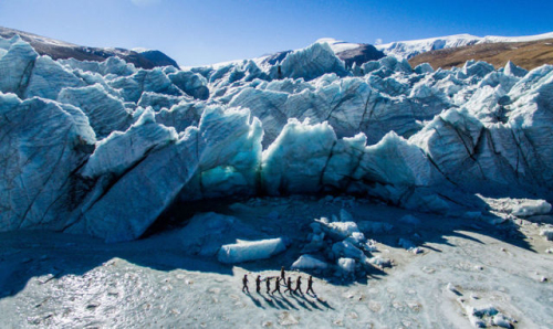 ̫������tyc4633