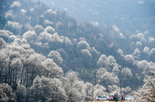 ̫������tyc4633