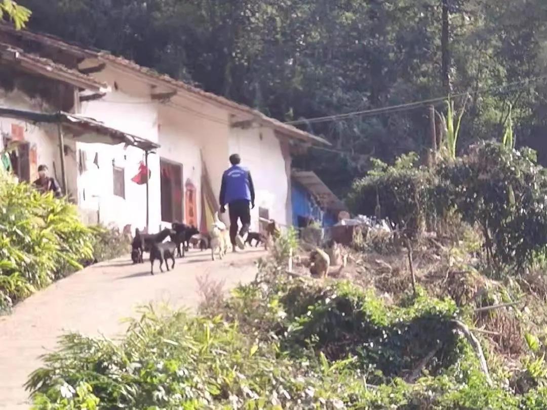 阳春房地一体项目纪实丨无悔青春多砥砺，最是奋斗动人心