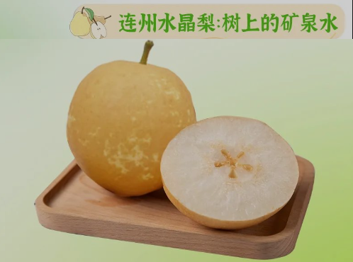 “桃李”炎暑，清冷一夏