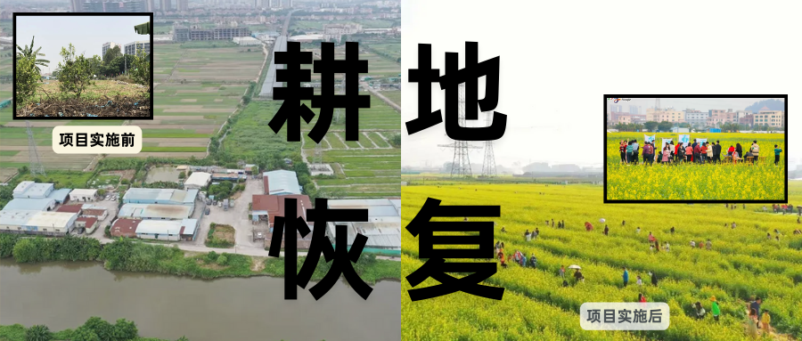 耕地；び刖梅⒄构踩凇褐惺泻窠终蛩谏缜读继锵钅扛馗丛氤窍缛诤系拇葱率导